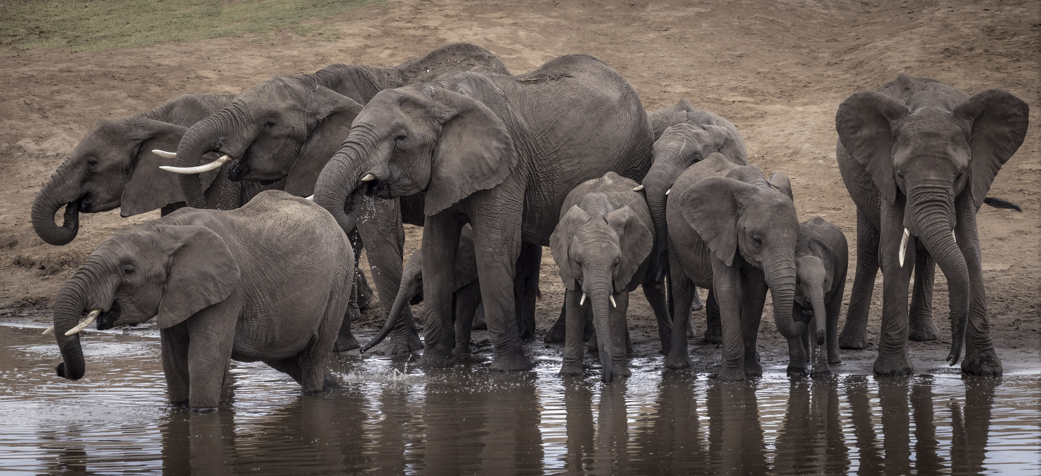 November 13, 2022-104353-Edit.jpg